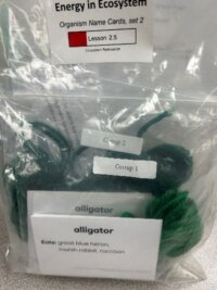 During A Science Materials Center kit